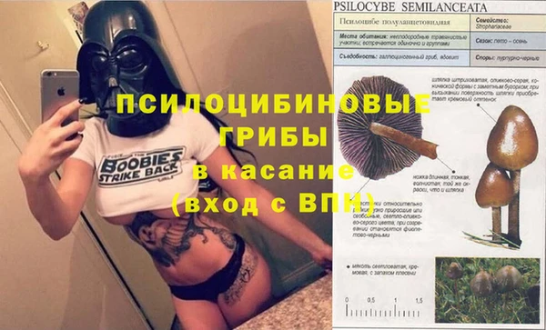 шишки Алзамай