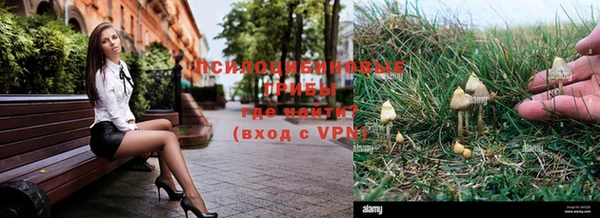шишки Алзамай