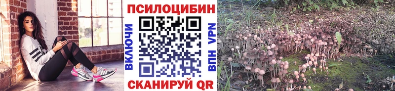 закладка  Новокузнецк  Псилоцибиновые грибы мухоморы 