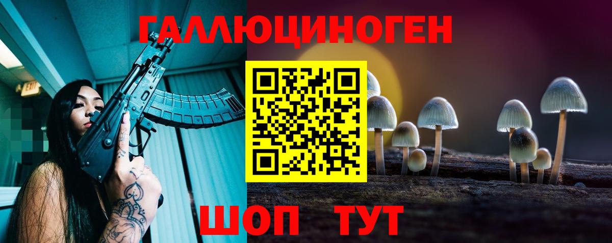 дарнет шоп  Псилоцибиновые грибы GOLDEN TEACHER  Вход с VPN  Новокузнецк 