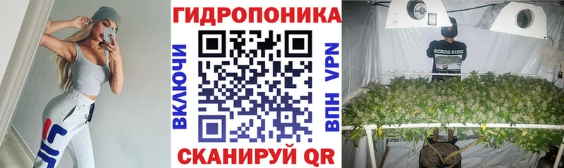 Каннабис White Widow Новокузнецк